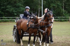 Fahrtunier-2019-MB-060