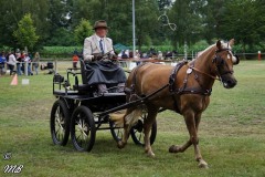 Fahrtunier-2019-MB-068