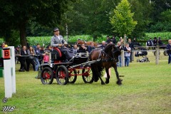 Fahrtunier-2019-MB-073