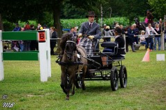 Fahrtunier-2019-MB-075