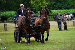 Fahrtunier-2019-MB-078