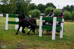 Fahrtunier-2019-MB-087
