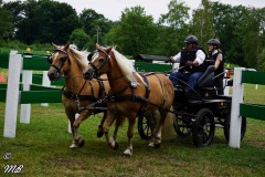 Fahrtunier-2019-MB-090