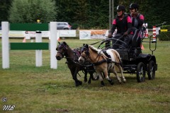 Fahrtunier-2019-MB-093