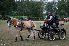 Fahrtunier-2019-MB-097