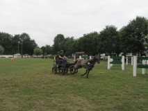 k-IMG_2956