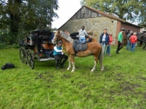 fuchsjagd_201433_20141017_1611943956