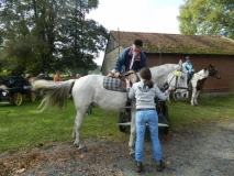fuchsjagd_201434_20141017_1220742395