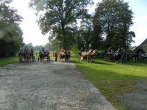 fuchsjagd_201441_20141017_1978753888