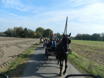 fuchsjagd_201442_20141017_1821406939