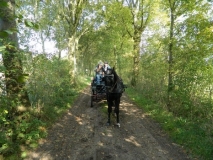 fuchsjagd_201443_20141017_1566300351