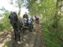 fuchsjagd_201449_20141017_1077056359