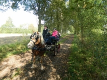 fuchsjagd_201450_20141017_1402982769