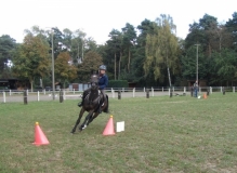 fuchsjagd_201642_20161009_1152795400