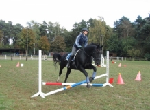 fuchsjagd_201643_20161009_1156384905
