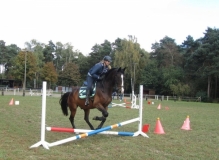 fuchsjagd_201644_20161009_1068755146