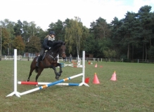 fuchsjagd_201645_20161009_1201207321
