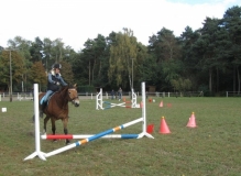 fuchsjagd_201646_20161009_1780593540