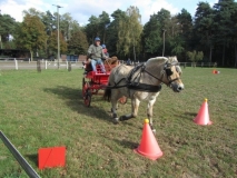 fuchsjagd_201647_20161009_1106205070
