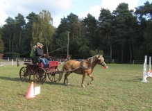 fuchsjagd_201648_20161009_1148517431