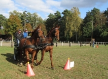 fuchsjagd_201649_20161009_1068062815