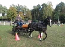 fuchsjagd_201652_20161009_1280443255