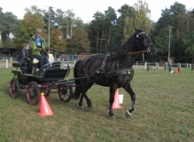 fuchsjagd_201653_20161009_1868724172