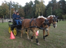 fuchsjagd_201654_20161009_1173838936