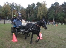 fuchsjagd_201655_20161009_1569424029