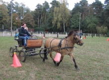 fuchsjagd_201656_20161009_2022972571