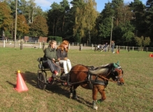 fuchsjagd_201658_20161009_1418529810