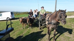 fuchsjagd_201832_20181014_1344877130