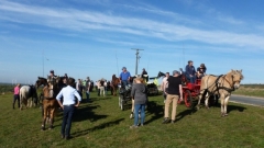 fuchsjagd_201834_20181014_1689683196