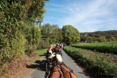 fuchsjagd_201837_20181014_1094393200