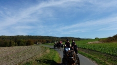 fuchsjagd_201840_20181014_1887844995