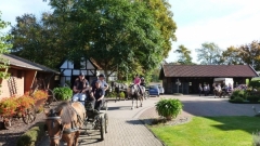 fuchsjagd_201841_20181014_1389709835