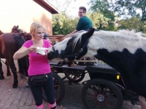 fuchsjagd_201846_20181014_2008778813