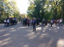 fuchsjagd_201847_20181014_1534186882