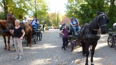 fuchsjagd_201849_20181014_1079058791