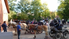 fuchsjagd_201850_20181014_1200497083