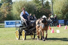 fuchsjagd_201854_20181014_1313056767