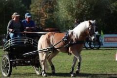 fuchsjagd_201855_20181014_2056902092