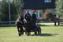 fuchsjagd_201856_20181014_1388319275