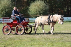 fuchsjagd_201857_20181014_1156142047