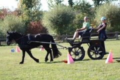 fuchsjagd_201860_20181014_1739628025