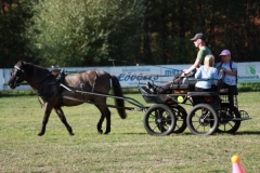 fuchsjagd_201863_20181014_1894955512