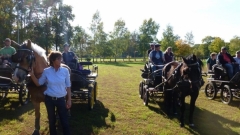 fuchsjagd_201866_20181014_1908479438