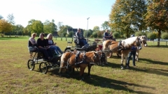 fuchsjagd_201867_20181014_1615676738