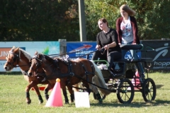 fuchsjagd_201868_20181014_1644100084