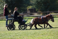 fuchsjagd_201869_20181014_1243821824